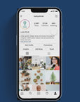 Professional Instagram Account Setup